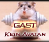 Gast-Avatar